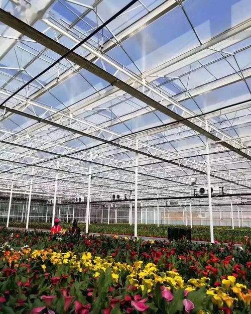 现代农业产业园如何拿到 补贴