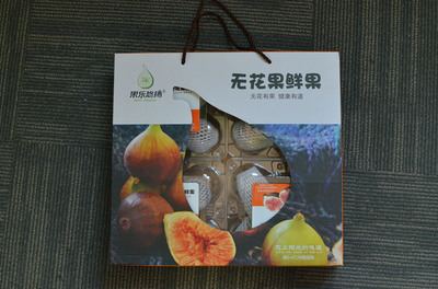 即墨段泊岚种下一片无花果 结出致富产业链