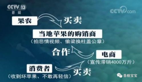 爱心助农背后 初探初级农产品销售中的人性暗面