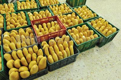 中国农产品批发网 初级农产品销售的数字化桥梁与市场机遇