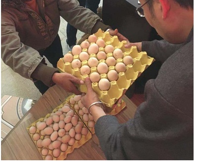 凝聚爱心筑梦田野 云南普洱区域化电商助力脱贫新篇章