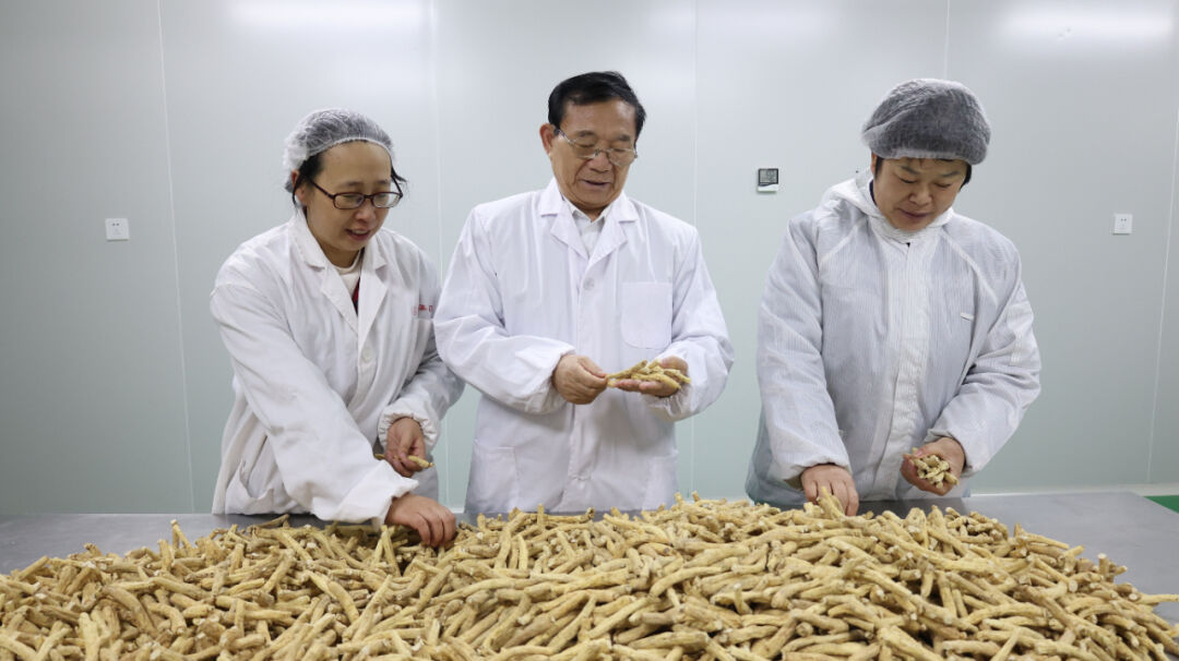 颐阳集团 以新质生产力赋能西洋参产业，重塑初级农产品价值链